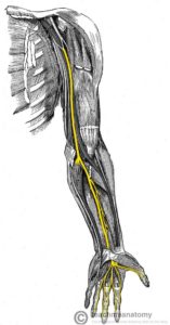 Nerve Entrapments Upper Limb Extremities Health House Clinics