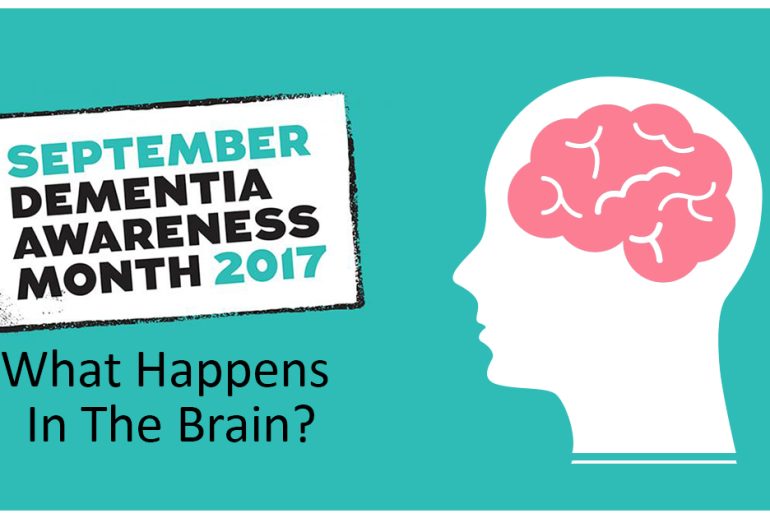 Dementia What Happens In The Brain